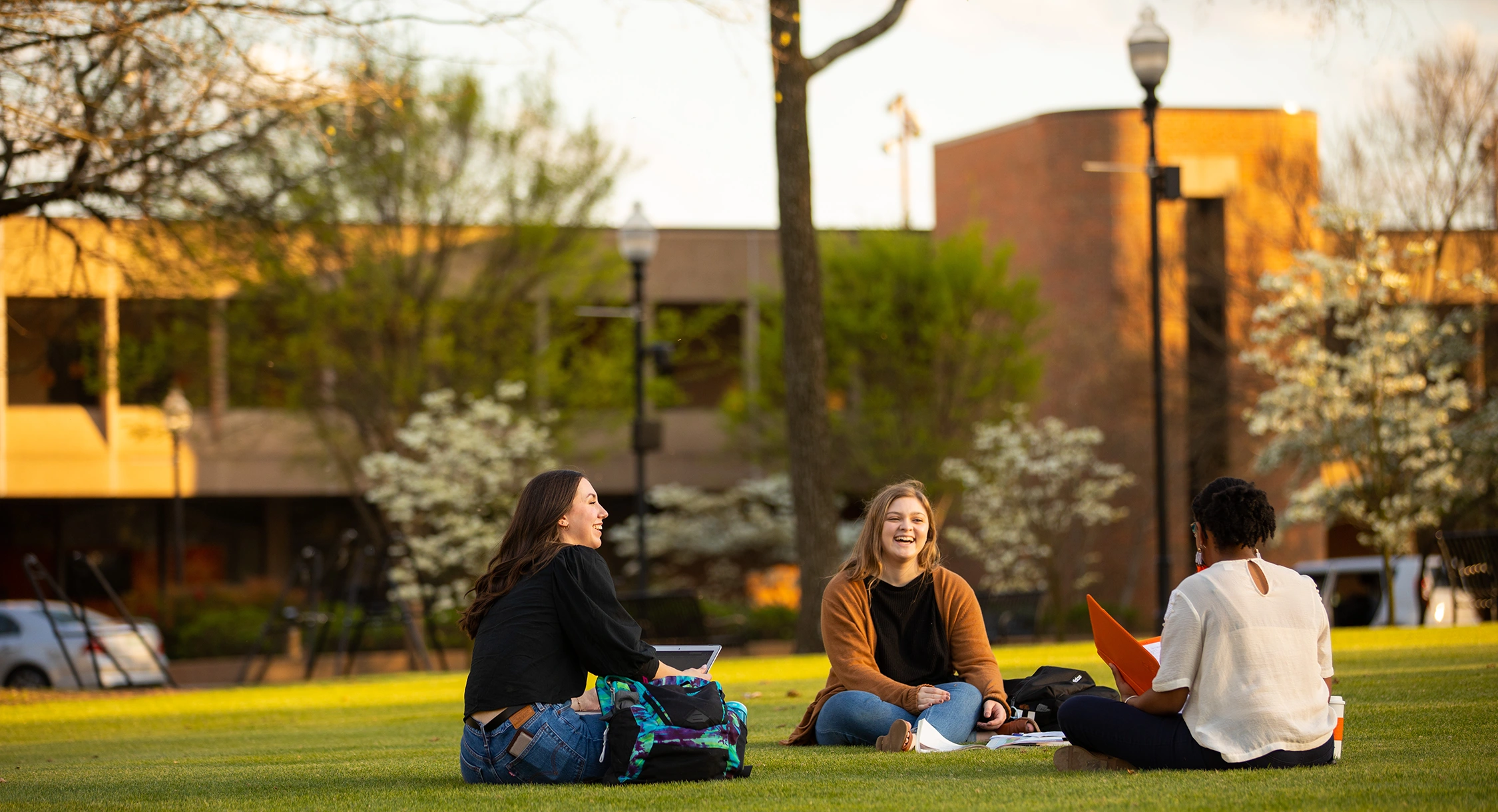 Students chatting on a lawn.